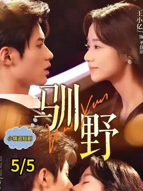 久播影院悬疑年代剧雾中列车海报